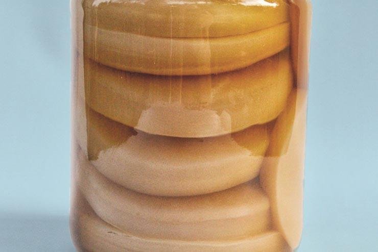 Le guide de l'Hotêl à Scoby